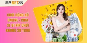 Chơi Rồng Hổ Online - Chia Sẻ Bí Kíp Chơi Không Sợ Thua