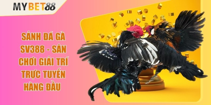 Sảnh Đá Gà SV388 - Sân Chơi Giải Trí Trực Tuyến Hàng Đầu 